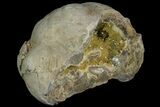 Yellow Crystal Filled Septarian Geode ( lbs) - Utah #135443-1